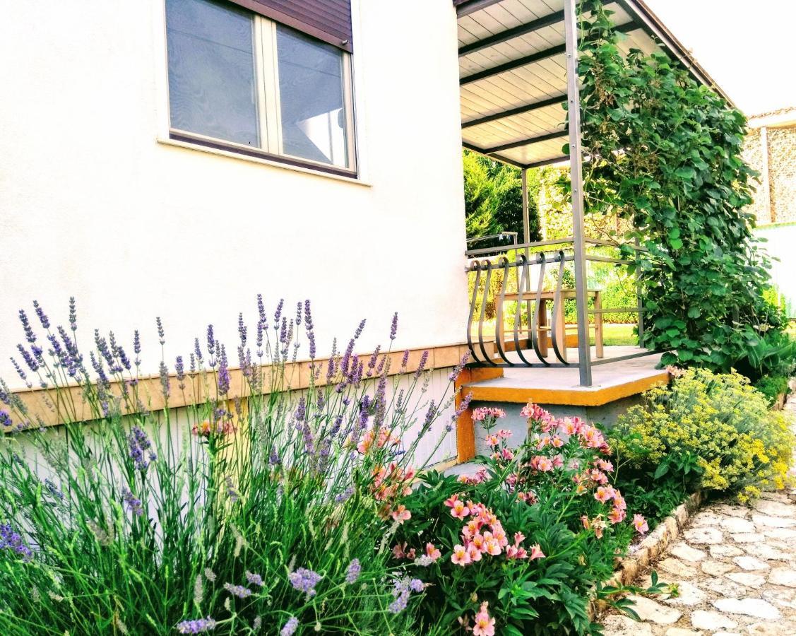 Apartments And Room Markovic Rovinjsko Selo Exterior photo
